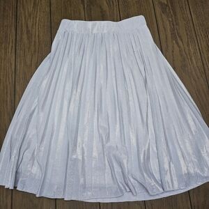 Metro Wear Shiny Silver A-Line Skirt